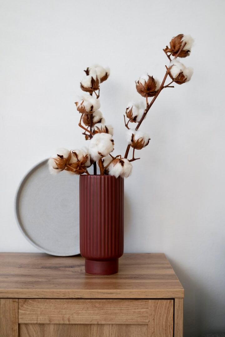 Modern plant vase